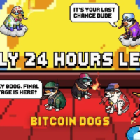 Bitcoin Dogs、1150万ドル以上を調達―プレセール終了まで24時間を切る